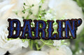 Darlin Blue and Brown Iron on Patch