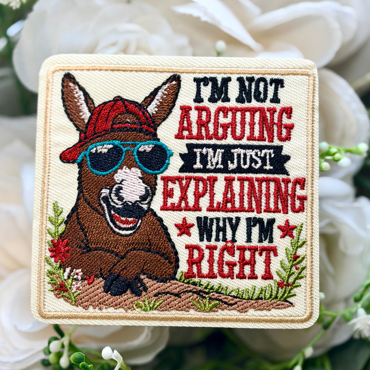 I'm Not Arguing I'm Just Explaining